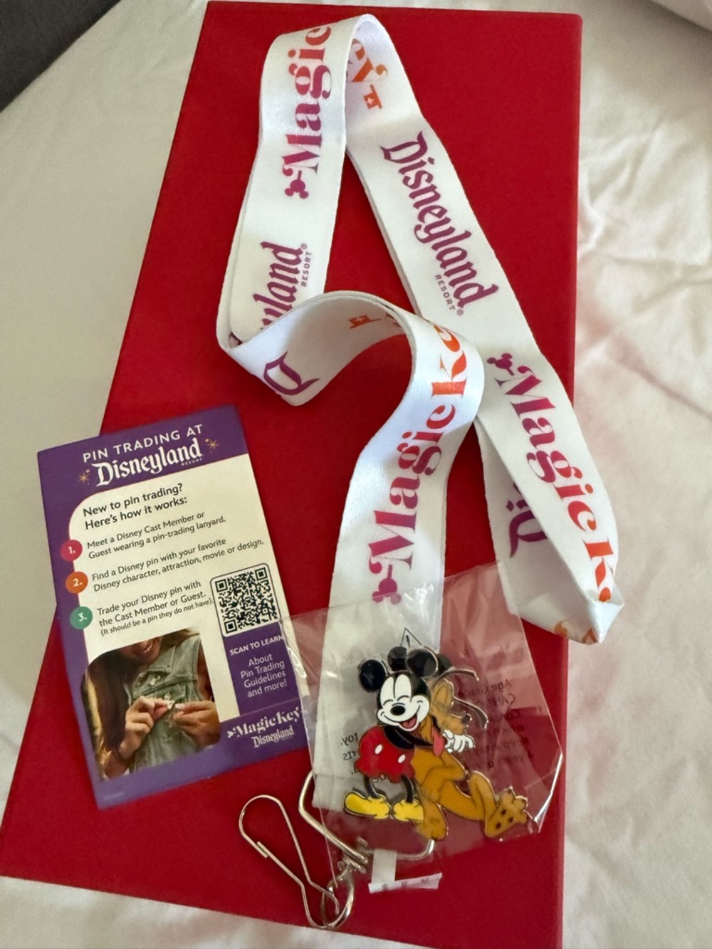 Disney Mickey & Pluto Pin and Lanyard Set